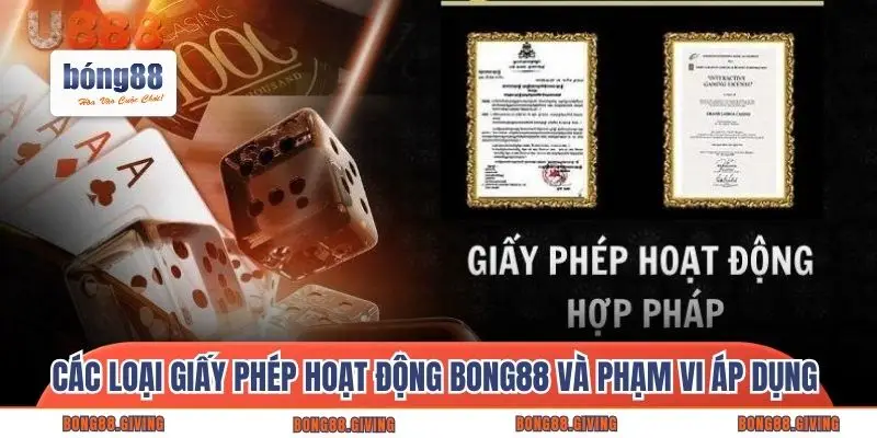 Các loại giấy phép hoạt động Bong88 và phạm vi áp dụng 