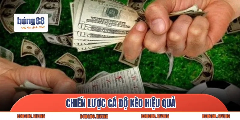Chiến lược cá độ kèo hiệu quả