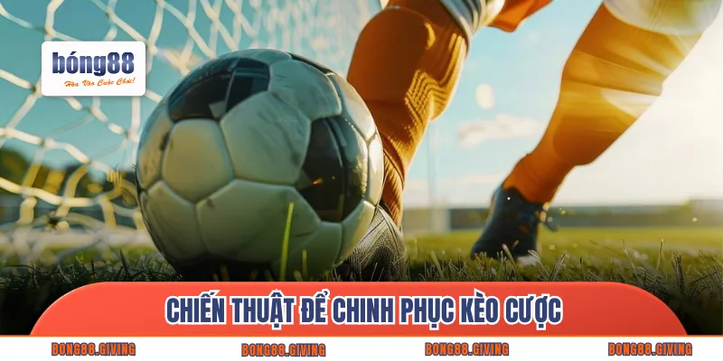 Chiến thuật để chinh phục kèo cược