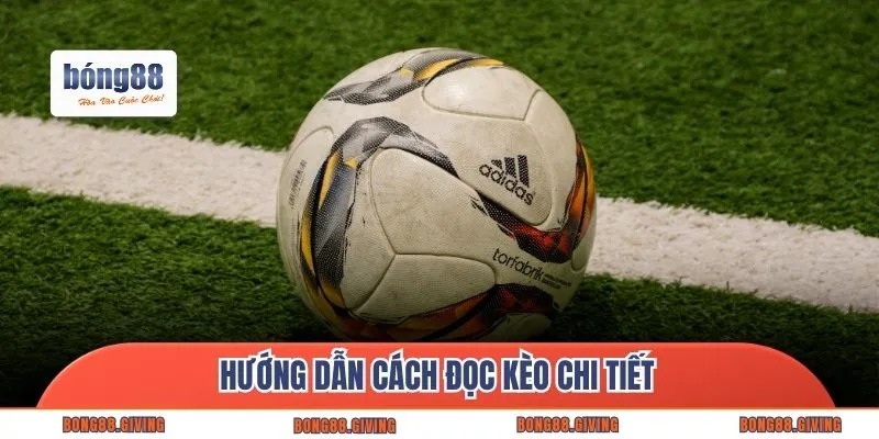 Hướng dẫn cách đọc kèo chi tiết